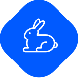 Icon Rabbit